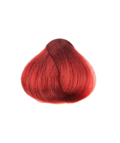 Raywell Avant X Hair Colours without Ammonia & PPD (for use in Salons) - Tulipa Hair & Beauty